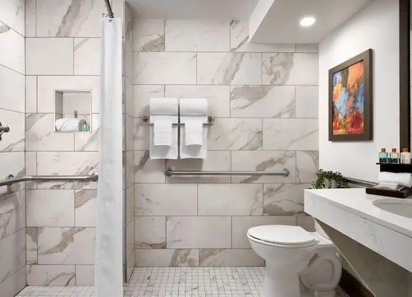 Oda, 1 En Büyük (King) Boy Yatak, Engellilere Uygun (King Accessible Suite)
