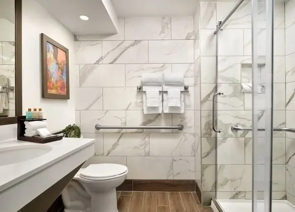 Oda, 1 En Büyük (King) Boy Yatak, Engellilere Uygun (King Accessible Suite)
