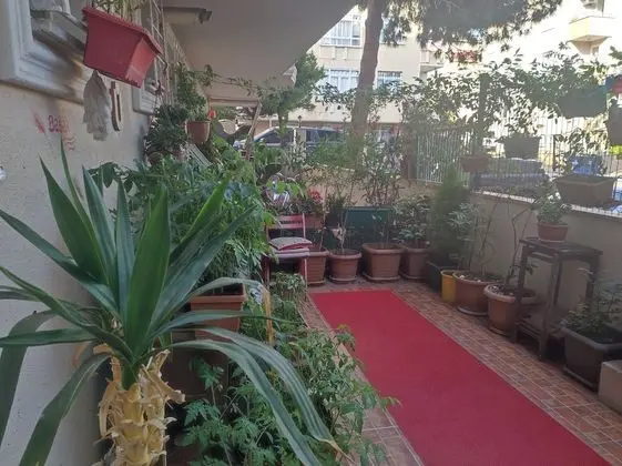 Süit, Sigara İçilmez