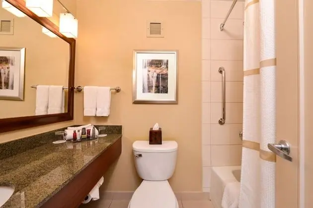 Oda, 1 En Büyük (King) Boy Yatak (Mobility Accessible, Roll-In Shower)