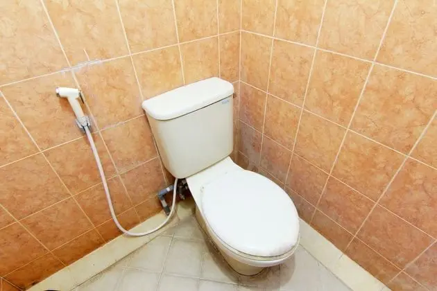Superior Tek Büyük Yataklı Oda, Dağ Manzaralı