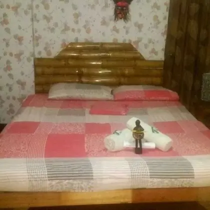 Basic Tek Büyük Yataklı Oda (Budget)