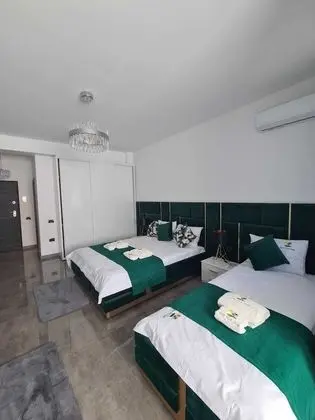 Çatı Katı (Loft)
