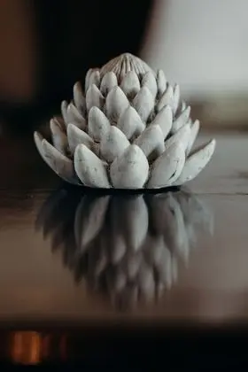 Luxury Süit, 1 En Büyük (King) Boy Yatak