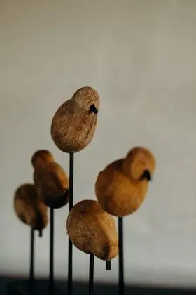 Luxury Süit, 1 En Büyük (King) Boy Yatak