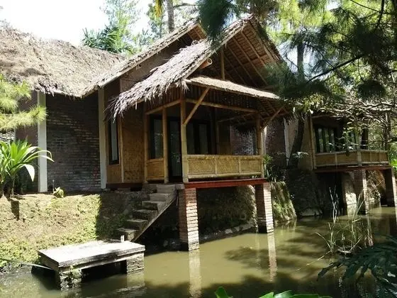 Deluxe Bungalov