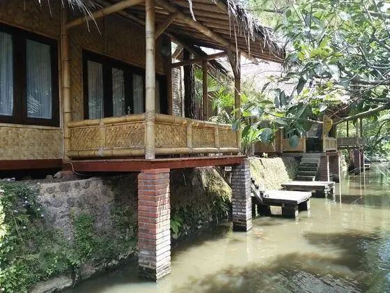 Deluxe Bungalov