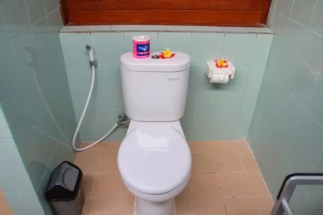 Deluxe Kır Evi, 1 En Büyük (King) Boy Yatak, Deniz Manzaralı