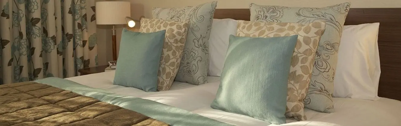 Deluxe Oda, 2 Tek Kişilik Yatak, Sigara İçilmez