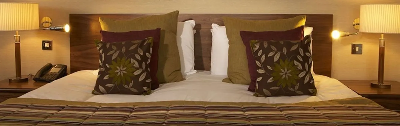 Deluxe Oda, 2 Tek Kişilik Yatak, Sigara İçilmez