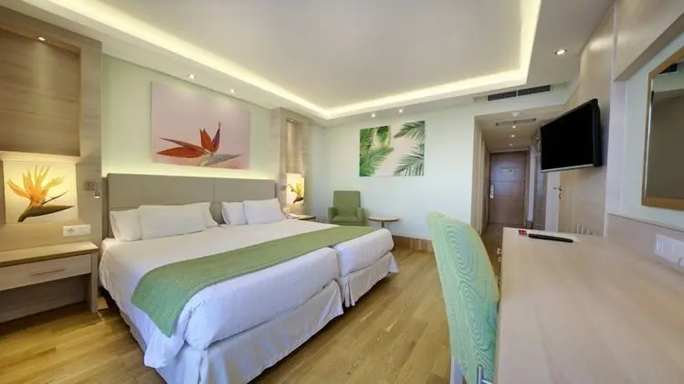 Tek Büyük Yataklı Oda, Kısmi Deniz Manzarası (3 Adults)