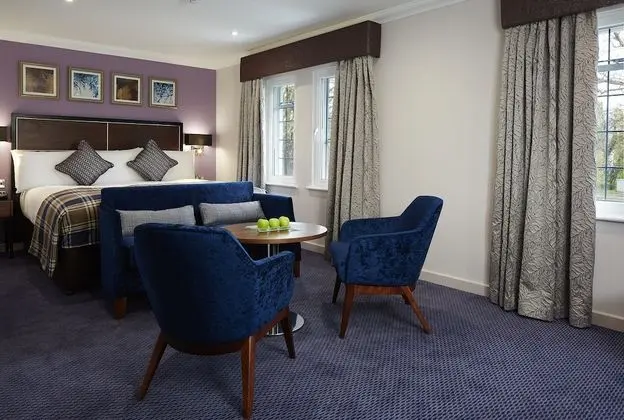 Grand Tek Büyük Yataklı Oda, 1 Çift Kişilik Yatak