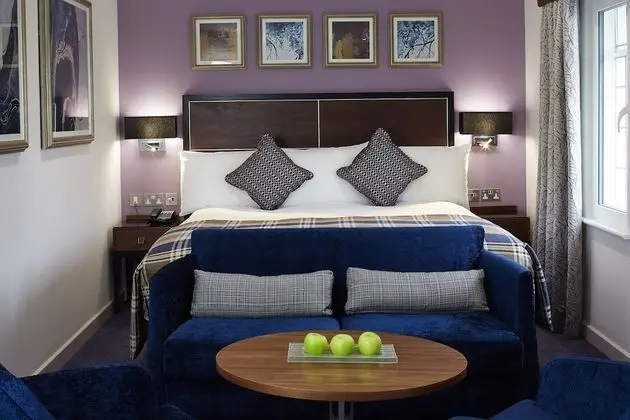 Grand Tek Büyük Yataklı Oda, 1 Çift Kişilik Yatak