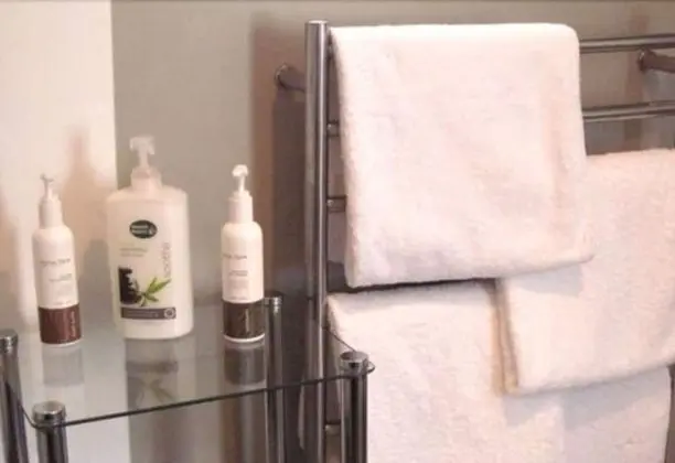 Standard Apart Daire, 2 Yatak Odası, Sigara İçilmez, Küçük Mutfak (Spa Apartment)
