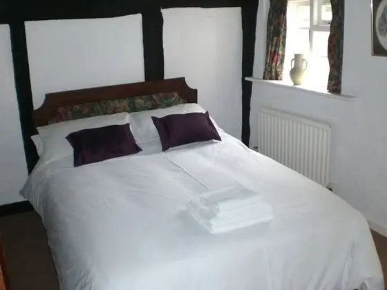 Tek Büyük Yataklı Oda, Banyolu/Duşlu (Room Only)