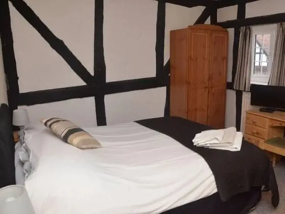 Tek Büyük Yataklı Oda, Banyolu/Duşlu (Room Only)