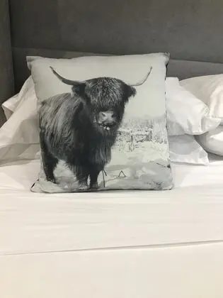 Superior Tek Büyük Yataklı Oda, Banyolu/Duşlu