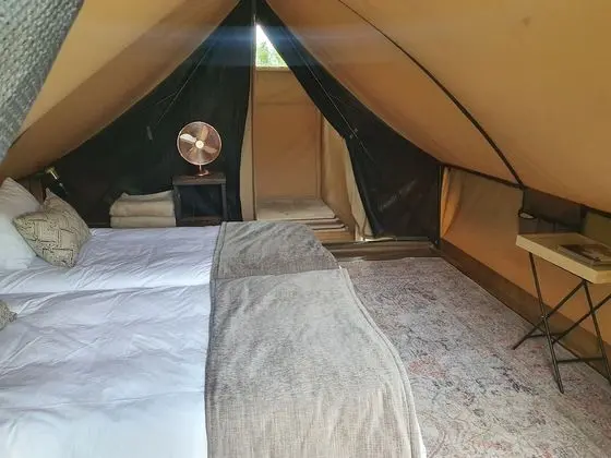 Luxury Çadır