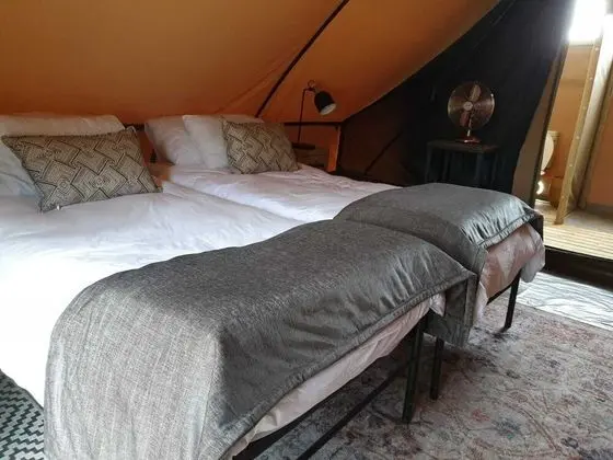 Luxury Çadır