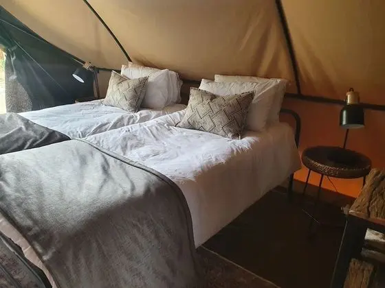 Luxury Çadır