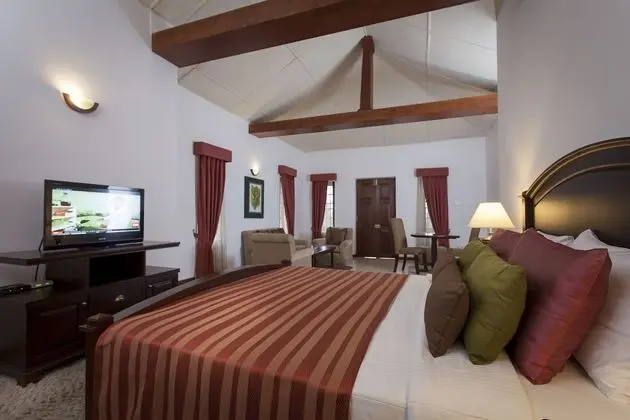 Premium Stüdyo Süit, 1 En Büyük (King) Boy Yatak, Engellilere Uygun, Dağ Manzaralı