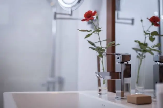 Premium Stüdyo Süit, 1 En Büyük (King) Boy Yatak, Engellilere Uygun, Dağ Manzaralı