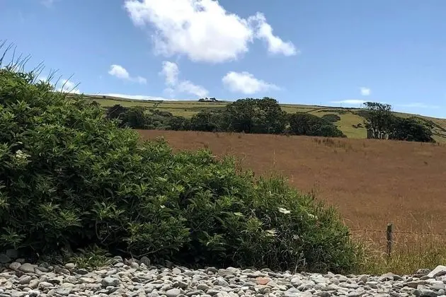 Ev, Birden Çok Yatak