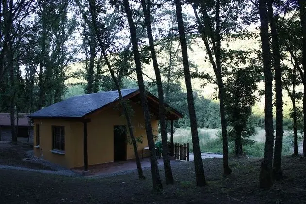 Bungalov, 1 Yatak Odası