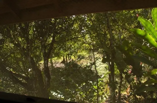 Bungalov, 1 Yatak Odası, Balkon