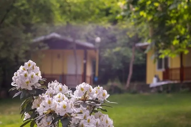 Bungalov, 1 Yatak Odası, Balkon