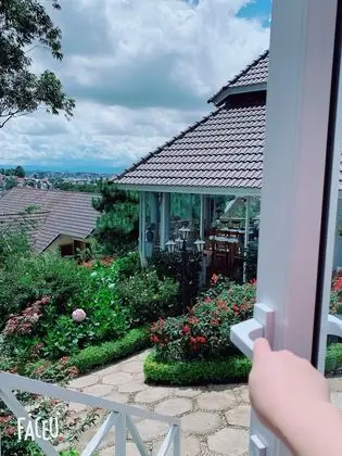 Standard Bungalov