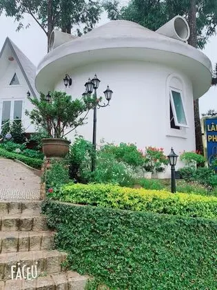 Standard Bungalov