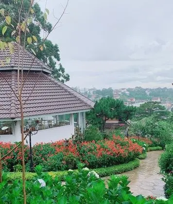 Standard Bungalov