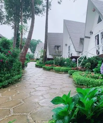 Standard Bungalov