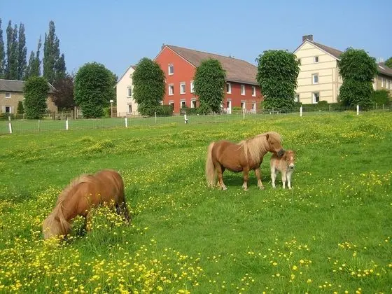 Ev