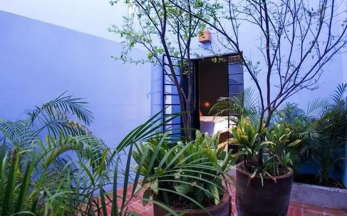 Premium Bungalov