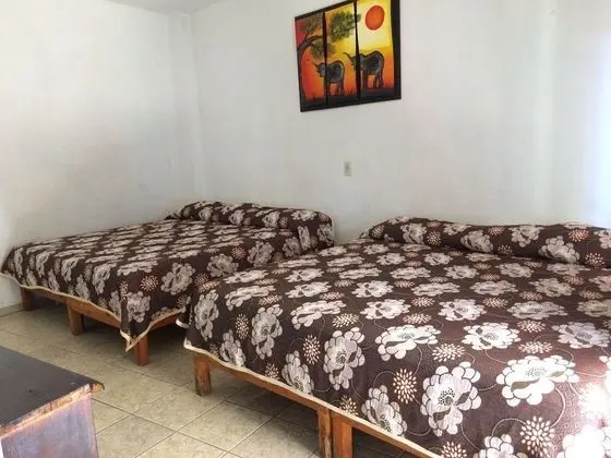 Basic Bungalov