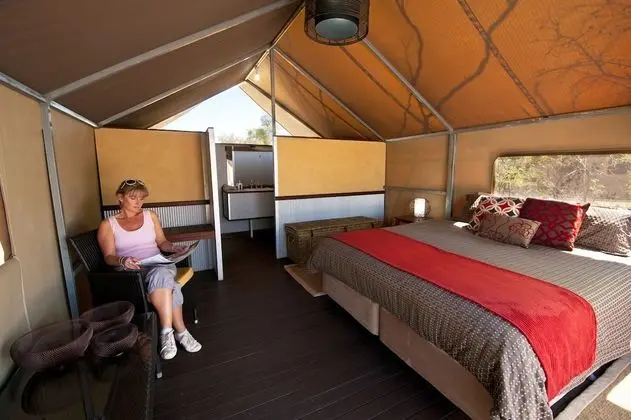 Superior Çadır (1 King Bed)