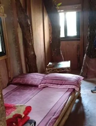 Standard Çadır