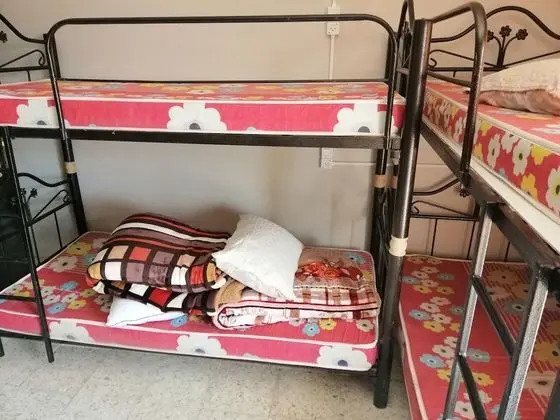 Ortak Ranzalı Oda, Birden Çok Yatak (Boys Cave)