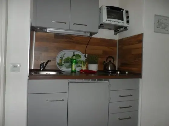 Superior Stüdyo, Özel Banyo, Bahçe Manzaralı (1 Grun)