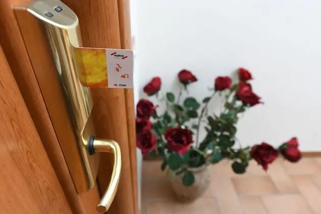 Standard Tek Büyük Yataklı Oda (Rosa)