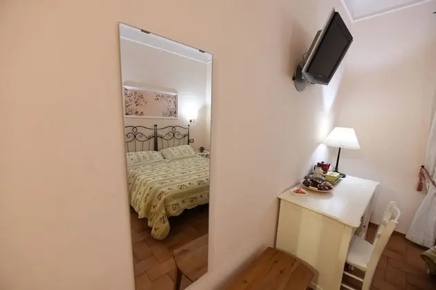 Standard Tek Büyük Yataklı Oda (Rosa)