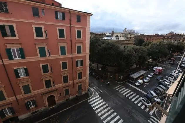 Standard Tek Büyük Yataklı Oda (Rosa)