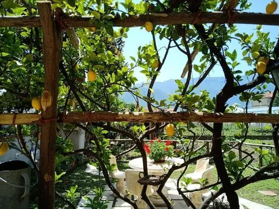 Panoramic Tek Büyük Yataklı Oda, Dağ Manzaralı