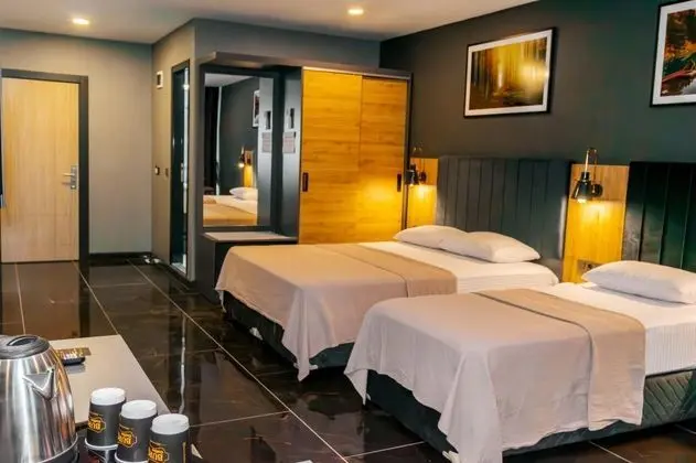 Deluxe Oda, Şehir Manzaralı, Klimalı