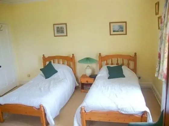 İki Ayrı Yataklı Oda, Banyolu/Duşlu (Yellow Room)