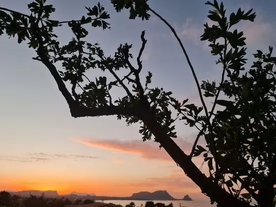 Villa, 2 Yatak Odası, Engellilere Uygun, Sigara İçilebilir