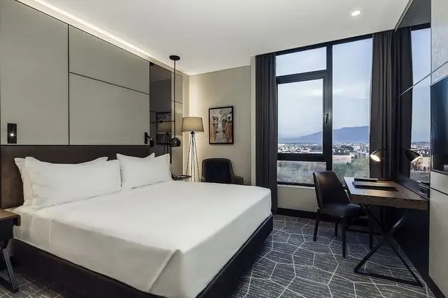 Superior Custom French King Oda Sehir Manzaralı