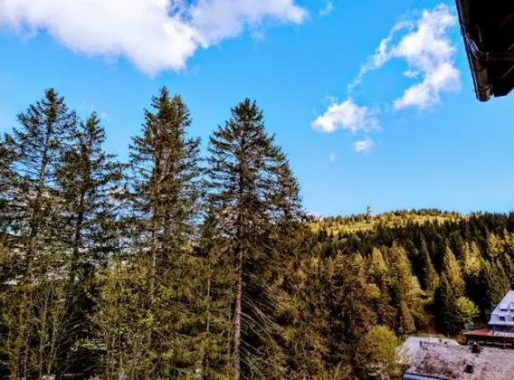 Süit, 1 Yatak Odası, Balkon, Dağ Manzaralı